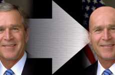 Blogs for Bald People