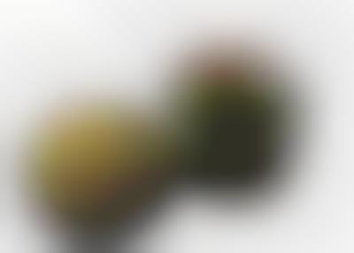 Gorilla Snot