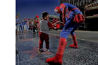 Eclectography Image 5