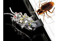 USBeetles Image 4