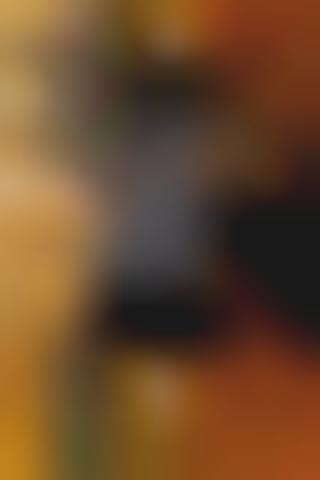 Clash Pattern Fashion