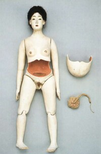 Pregnant Dolls Image 2