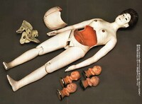 Pregnant Dolls Image 3