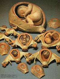 Pregnant Dolls Image 4