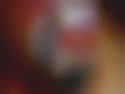 Lunch Bag Art
