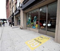Dinosaur Storefront Displays Image 3