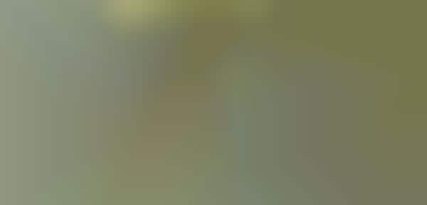 Elastic Electronics