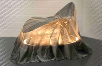 Birdlike Loungers Image 6