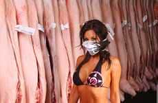 Swine Flu Parodies