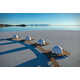 Luxury Salt Flats Lodges Image 1