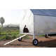 Automated Solar-Powered Chicken Houses Image 3