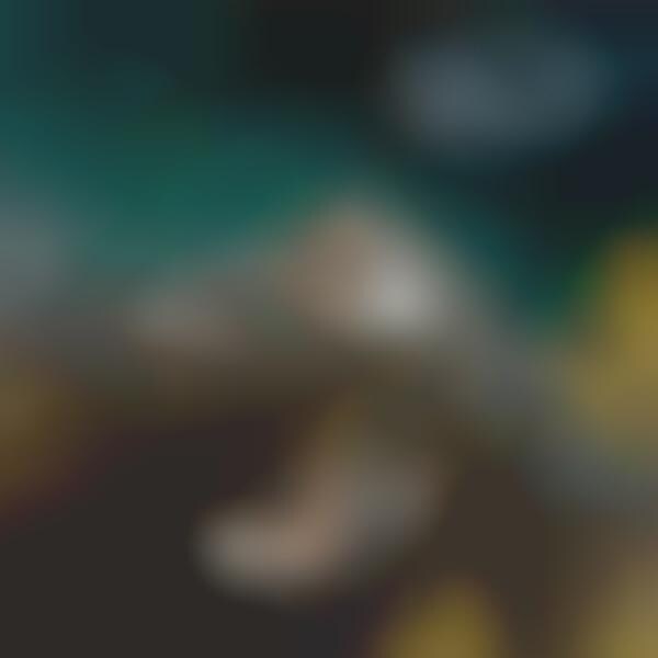 Canine Hiking Backpacks