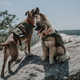 Canine Hiking Backpacks Image 2