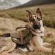 Canine Hiking Backpacks Image 6