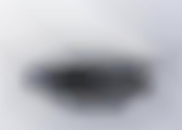 Autonomous Multifunctional AI Cameras