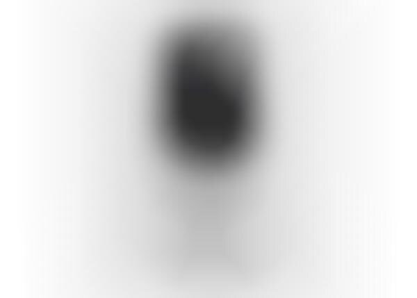 Precision AI Security Cameras