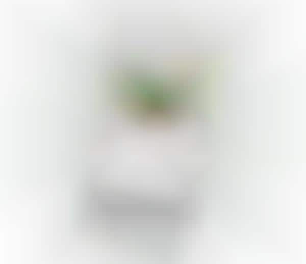 Resolution-Focused App Promotions