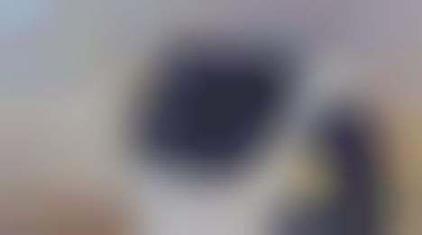 Cat-Like Delivery Robots