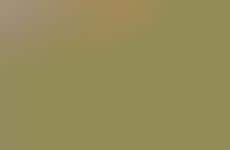 Lightened-Up Entree Options