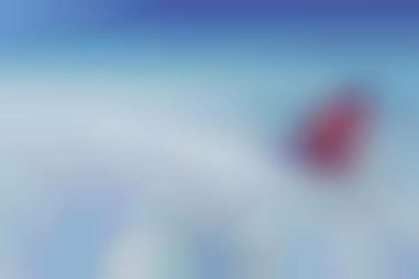 Information-Based Flight Notification Apps