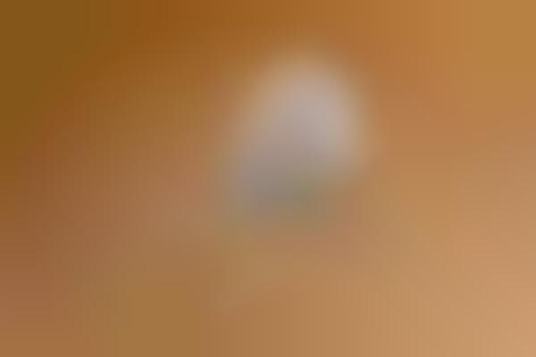 AI-Powered Baby Monitors