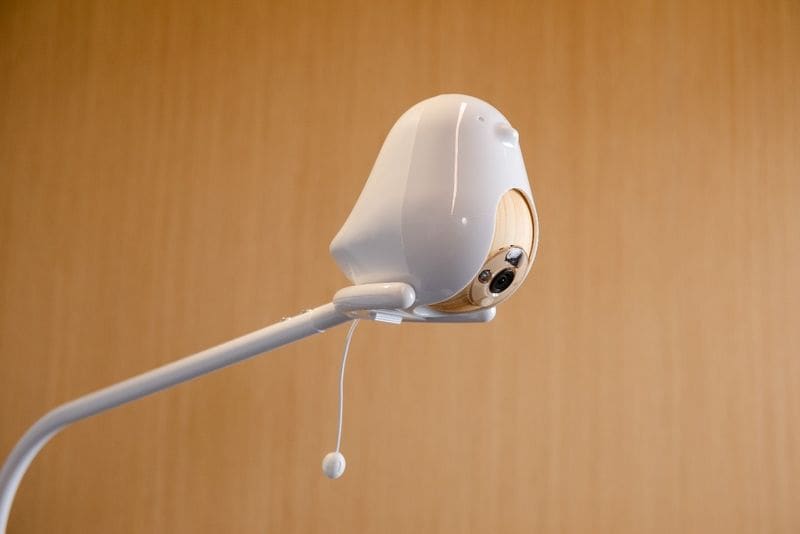 AI-Powered Baby Monitors