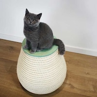 Cat-Friendly Rope Stools Image 3