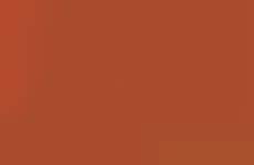 Flavorful Ready-to-Drink Iced Teas