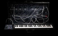 Analogue Synth Replicas Image 4