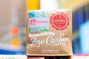 Carbon-Offsetting Coffees Article Thubnail