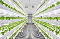 Vertical Smart City Farms