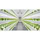 Vertical Smart City Farms Image 1