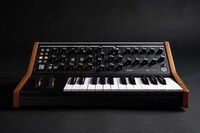 American Analog Synthesizers Image 5
