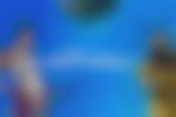 Dance-Based Social Media Contests