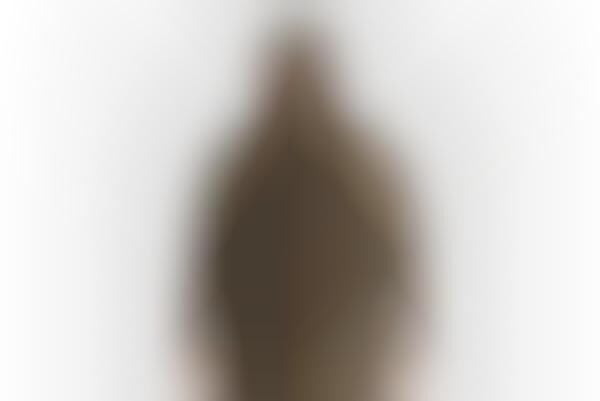 arcteryx leaf fusion jacket