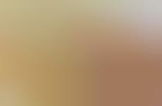 Limited-Edition Rich Chocolates