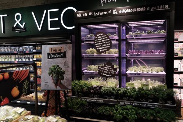Top 35 Retail Trends in February