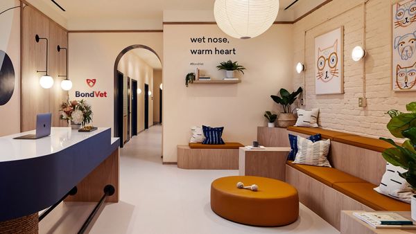 Top 100 Lifestyle Trends in February