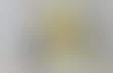 Fable-Inspired Homeware Collections