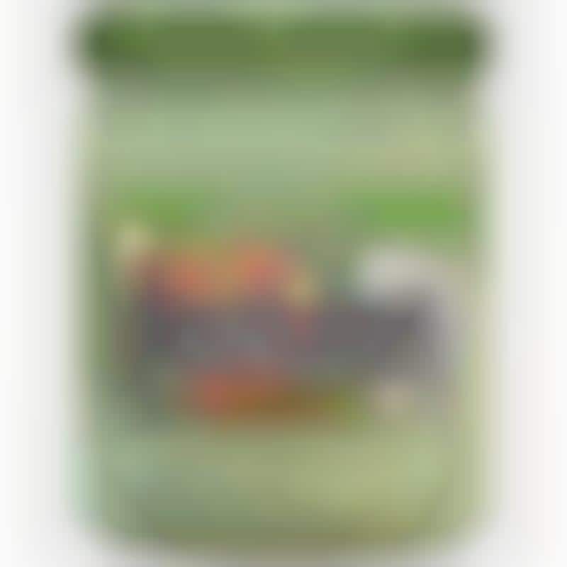 20 Delicious Avocado Products