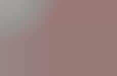 Motorcycle-Inspired Bicycles