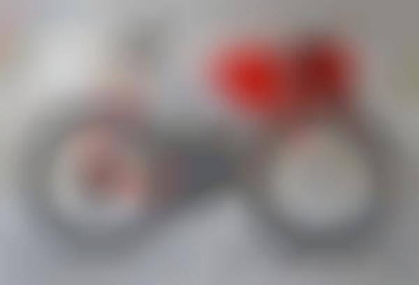 Motorcycle-Inspired Bicycles