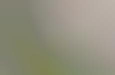 Upside-Down Greenery Planters