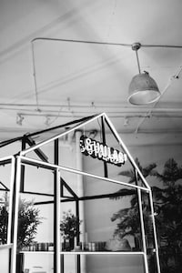 Immersive Cannabis Launch Events Image 3