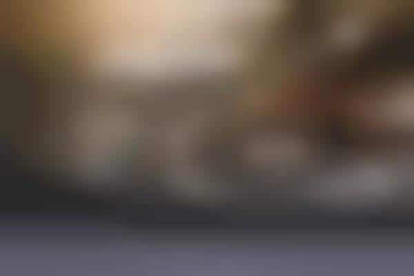 In-Home Electronic Repair Services
