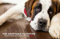 Beer-Branded Pet Adoption Ads