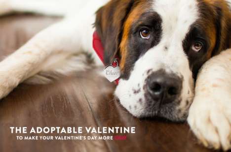 Beer-Branded Pet Adoption Ads