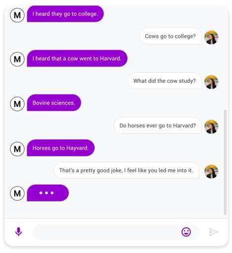 Conversational AI Chatbots