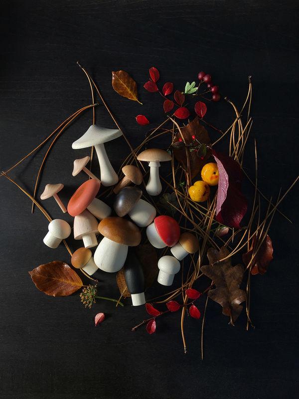 Artisan Mushroom Toys