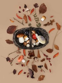 Artisan Mushroom Toys Image 3